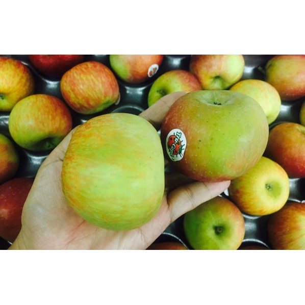 CRISPY FUJI APPLE-SOUTH AFRICA-135S/150S-18KG