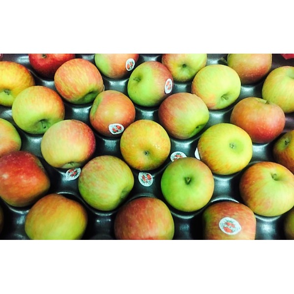 ALL FRUITS