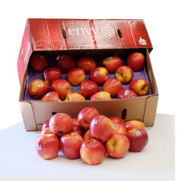 ALL FRUITS