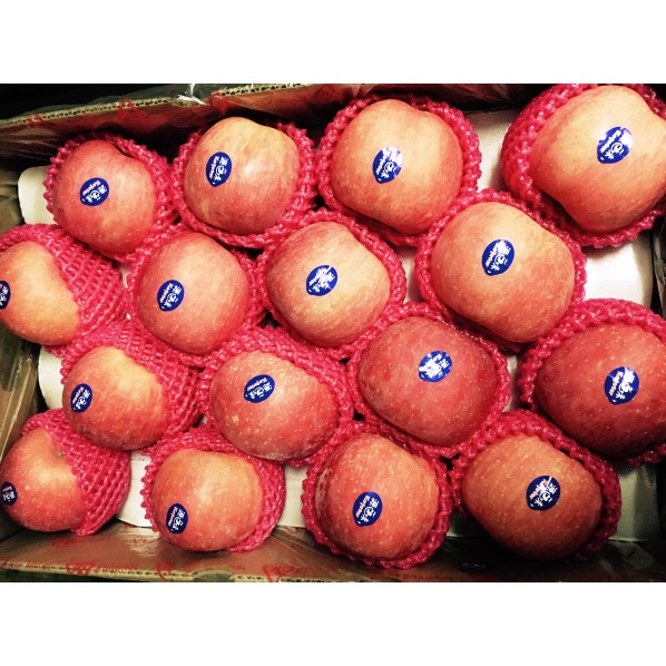 FUJI APPLE - CHINA/28-32PCS/9.5KG