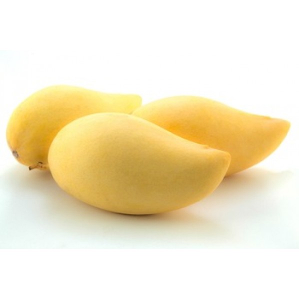 HONEY MANGO-Thailand 16-22Pcs/10kg