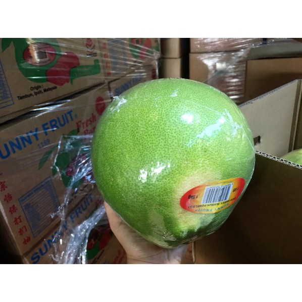 IPOH POMELO- 2PCS