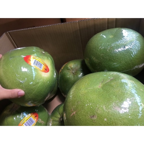 ALL FRUITS