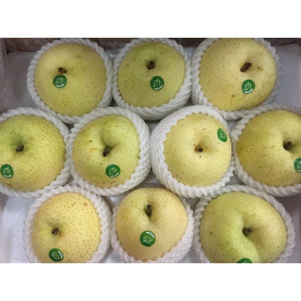 ALL FRUITS