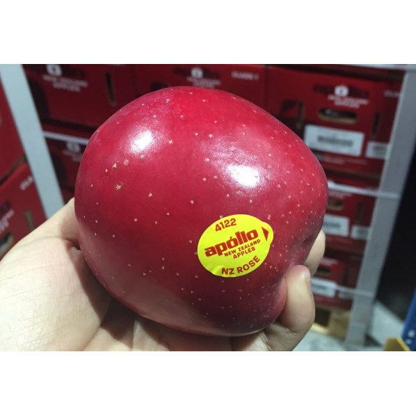 NZ ROSE APPLE-70-80PCS/18KG