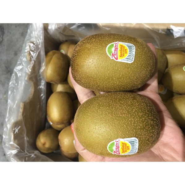 ALL FRUITS