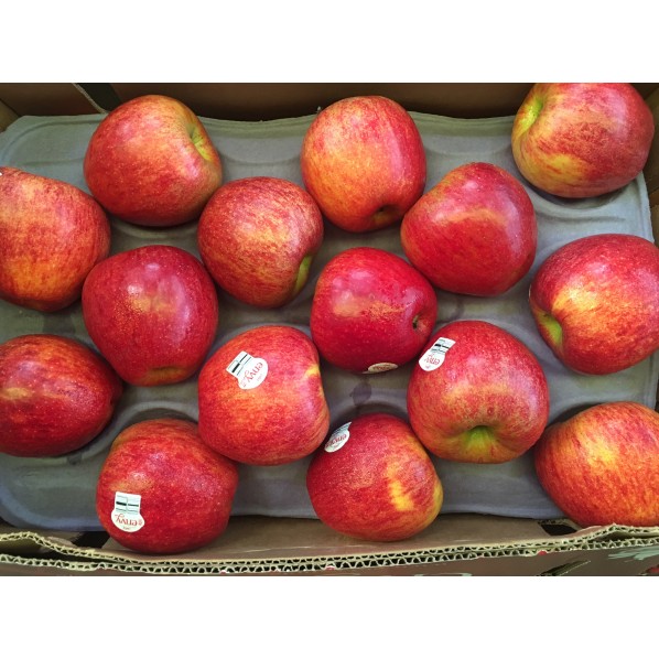 ALL FRUITS