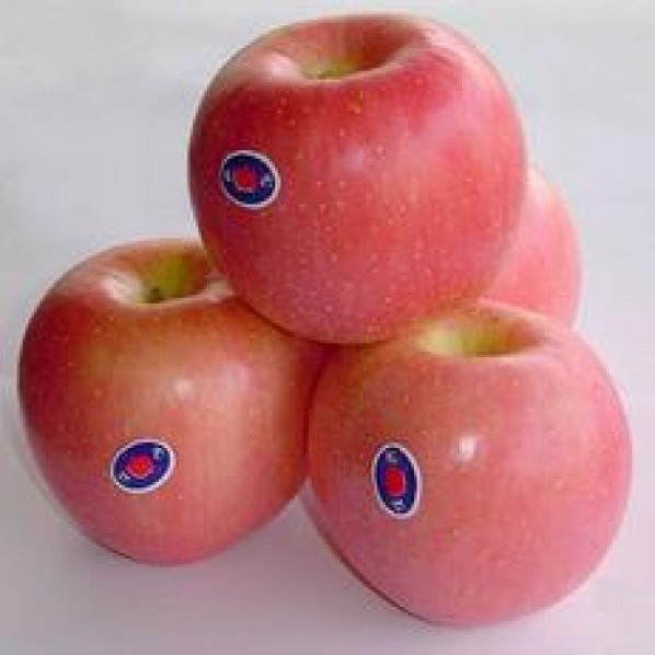 ALL FRUITS