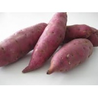 JAPANESE SWEET POTATO-5KG/SML