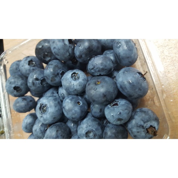 BLUEBERRY- USA /PERU/125GX12(XL SIZE)