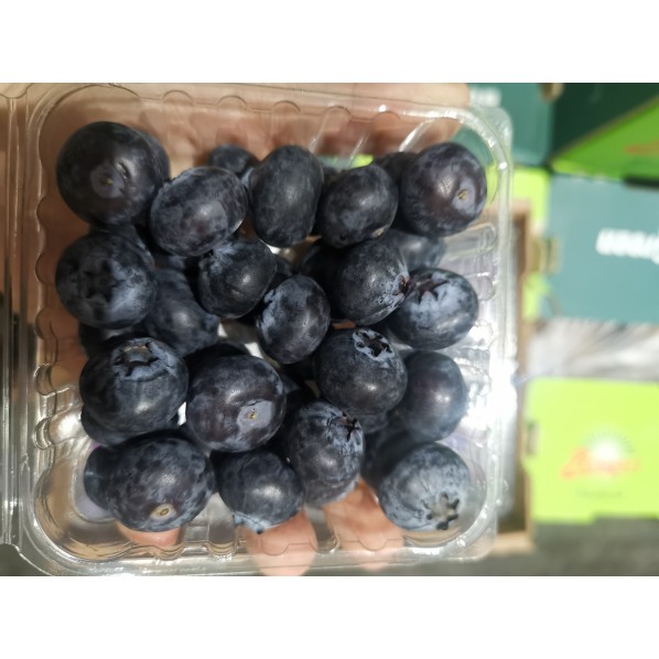 ALL FRUITS