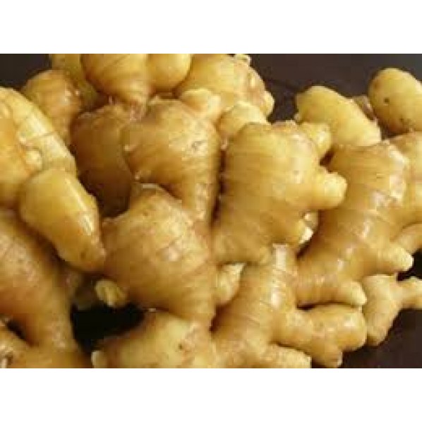 OLD GINGER/3KG/CHINA