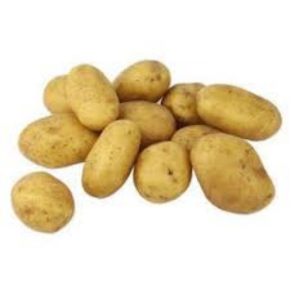 HOLLAND SEED POTATO/5KG/CHINA