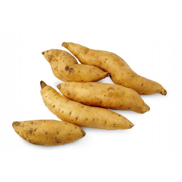 HONEY SWEET POTATO/INDONESIA-5KG