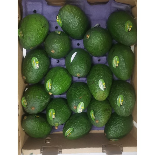 ALL FRUITS