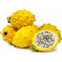 YELLOW DRAGON FRUIT(YELLOW PITAYA)/6-9PCS/2.5KG