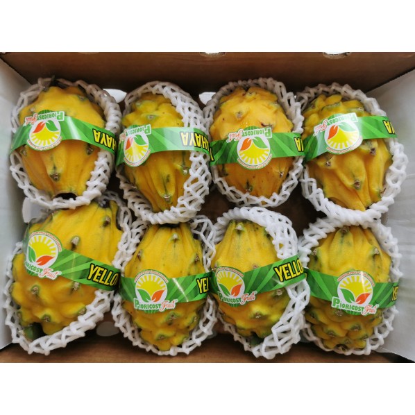 ALL FRUITS