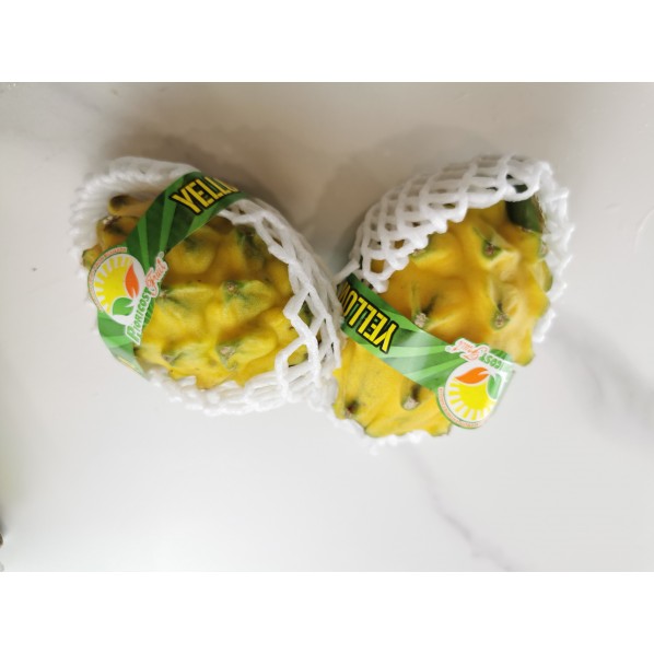 ALL FRUITS