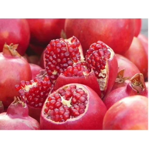 ALL FRUITS