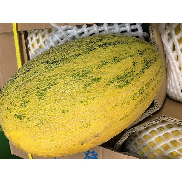 BA LIU WANG HONEY MELON (4-5PCS/12KG+)八六王新疆哈密瓜