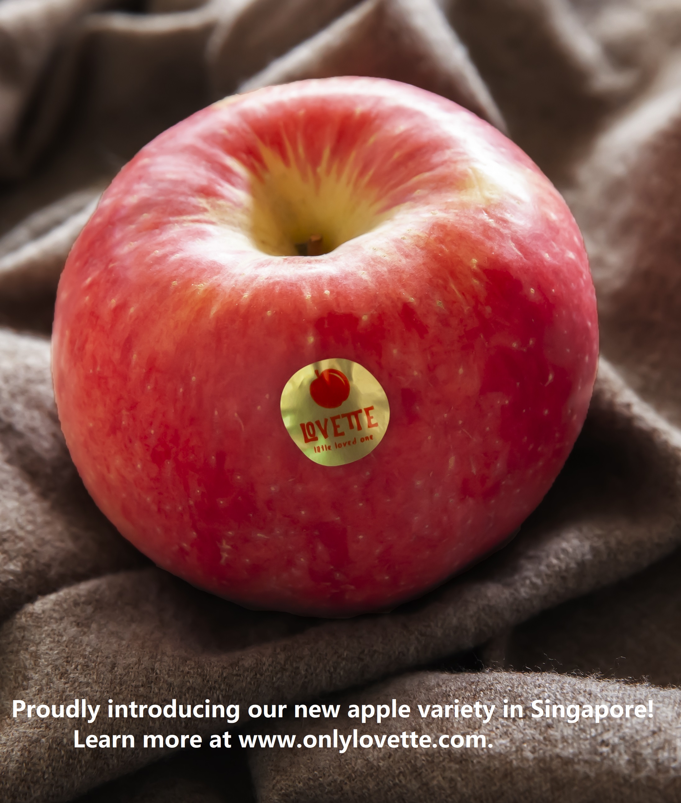 Individually Extraordinary: Unveiling the Essence of Uniqueness in Every Bite!